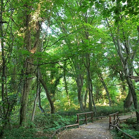 Lovely Nest With Glass Veranda *