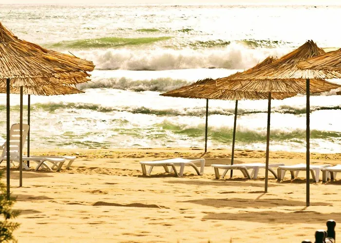 Lovely Nest With Glass Veranda