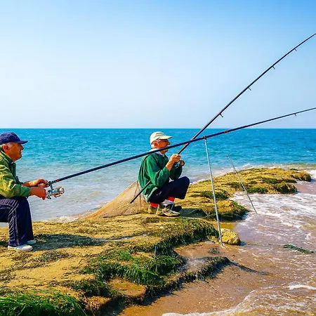 Lovely Nest With Glass Veranda شقة