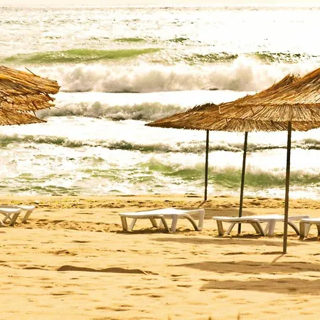 Lovely Nest With Glass Veranda